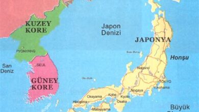 Japonya'nın Uluslararası Ticaretteki Konumu